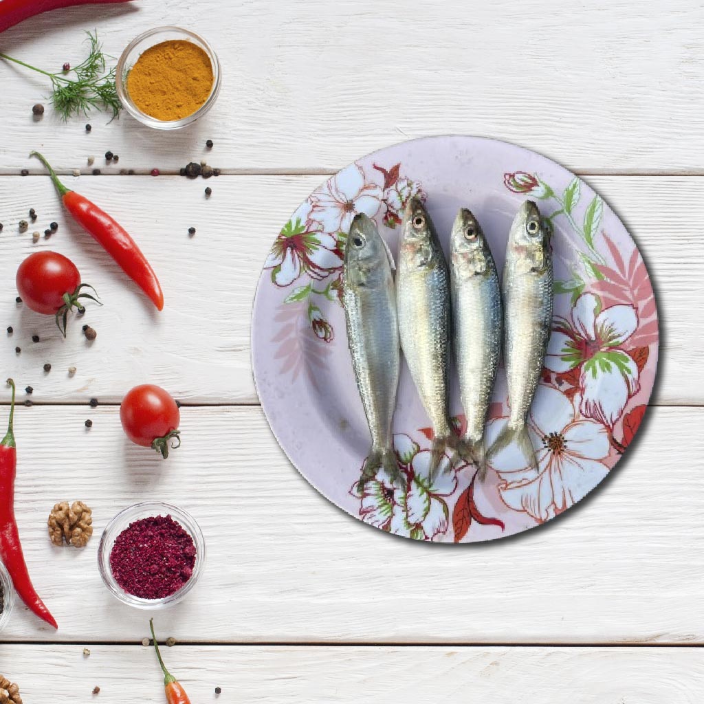 Sardine