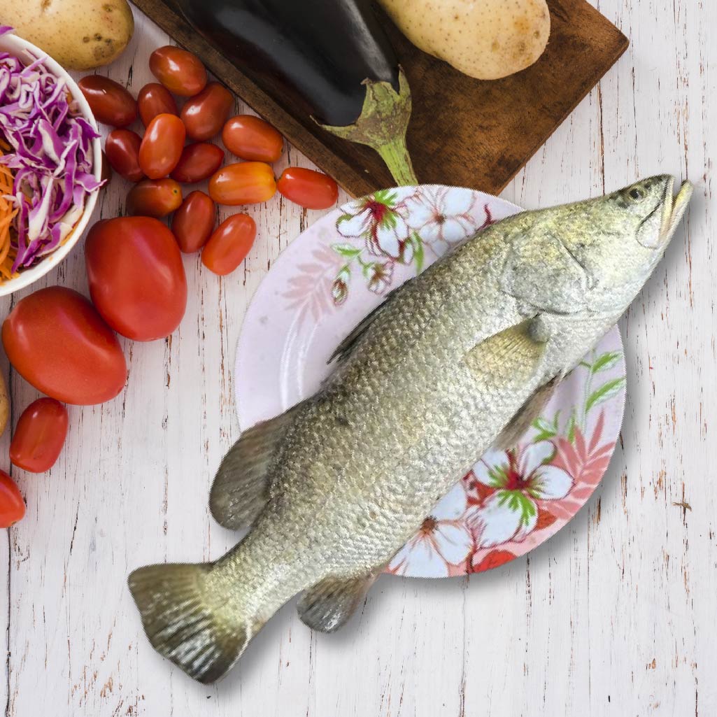 BARRAMUNDI