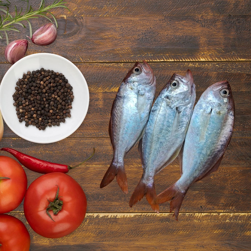 FALSE TREVALLY