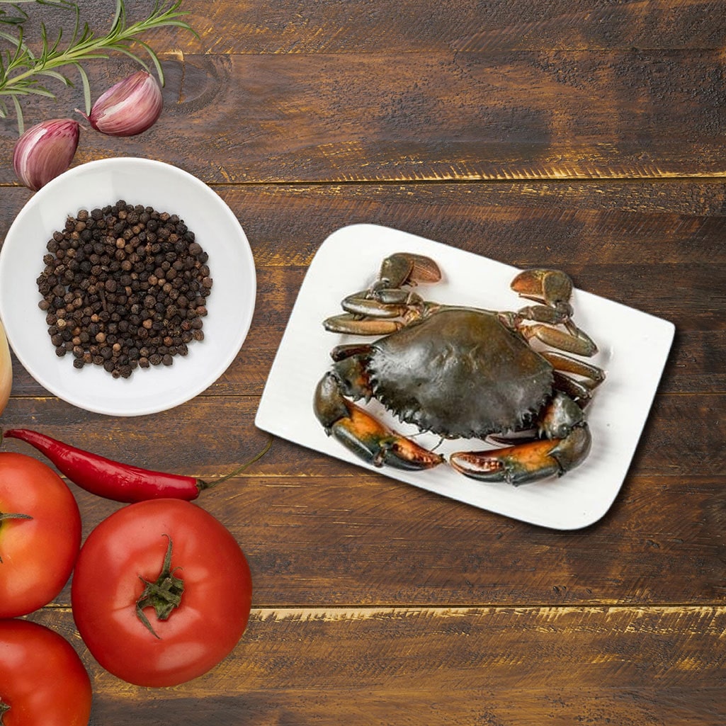 Mud Crab