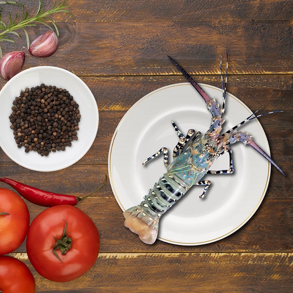 Lobster