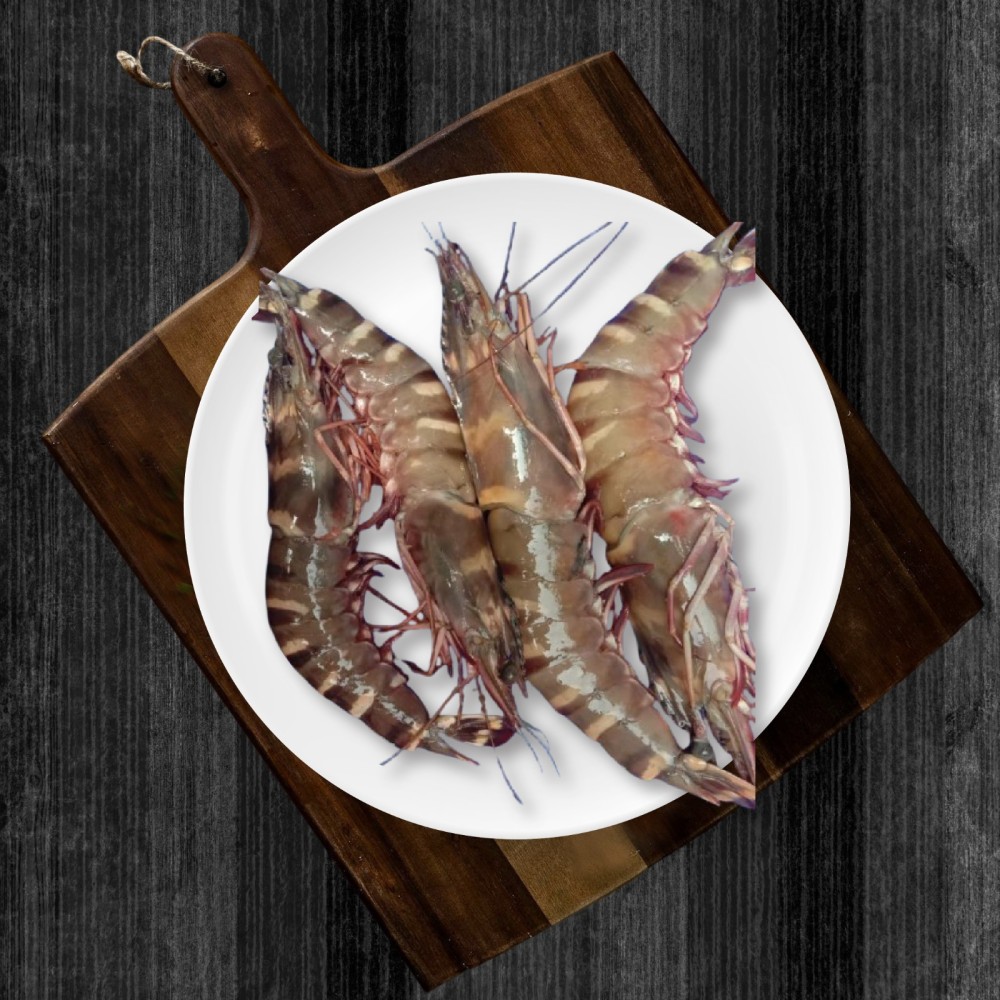 Tiger Prawns